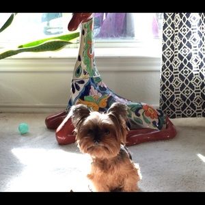 Meet your Posher, Brandy